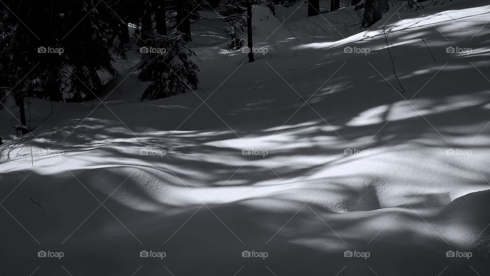 Shadows on the snow in the park. Slovakia