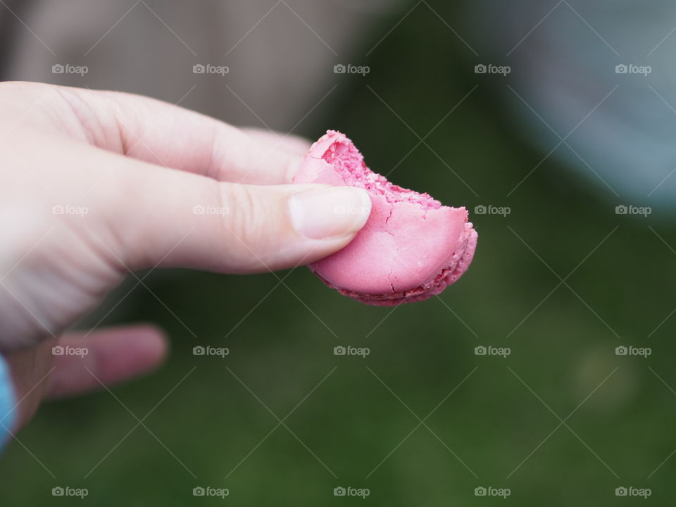 Raspberry Macaron with blurred bokeh background