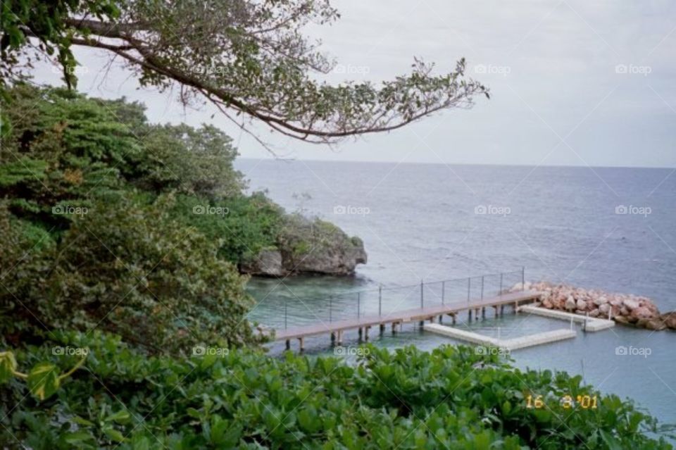 Discovery Cove Jamaica