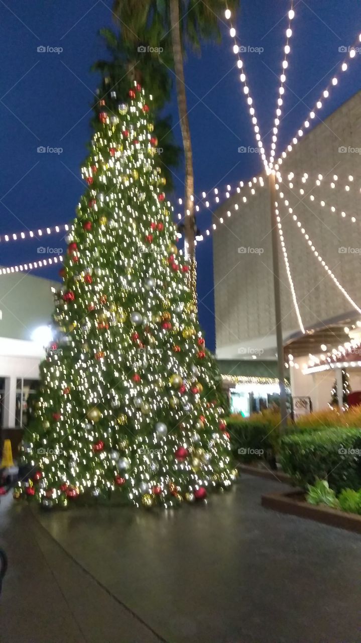 Christmas in the mall