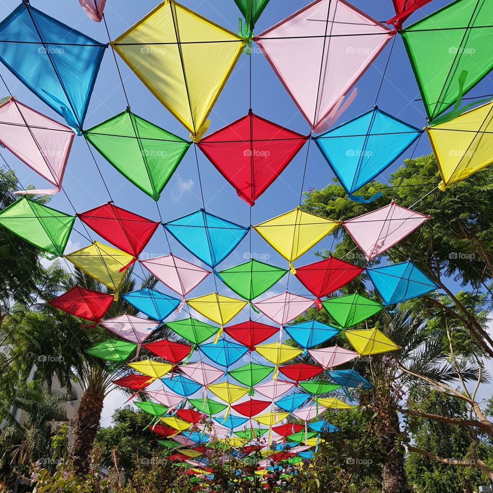Colorful kites