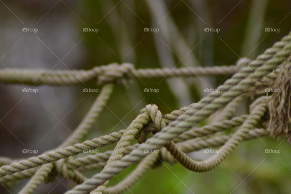 Cordage