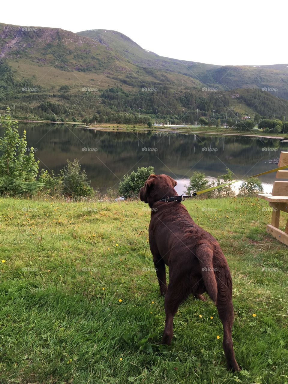 No Person, One, Outdoors, Mammal, Landscape