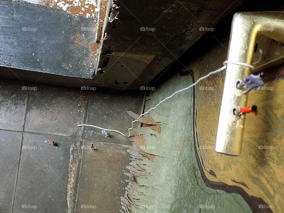 The world of Liliput, on a mission to escape the giant house