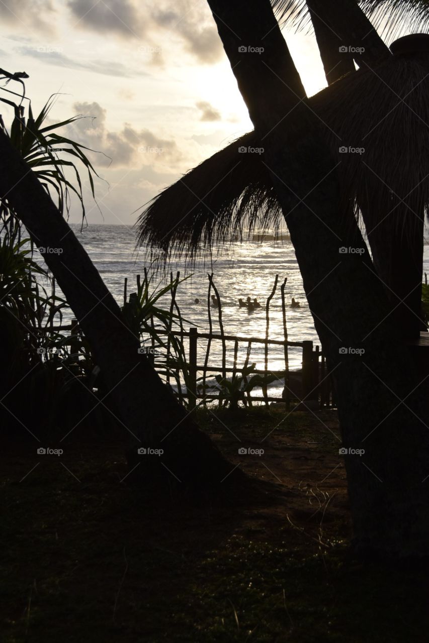 Beach and palms