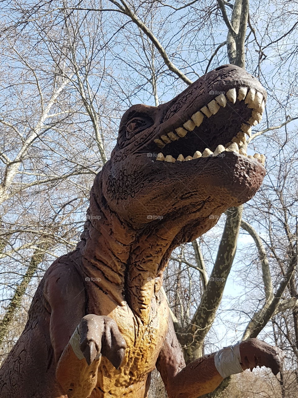 Dinosaur Nature Old Park Scary