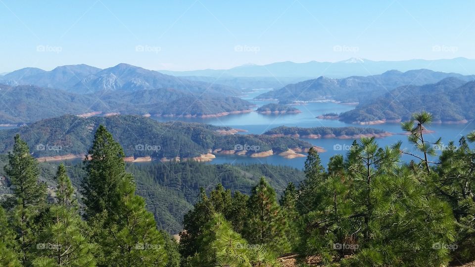 Shasta Beauty