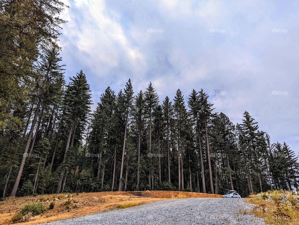 Big adventures in a Subaru