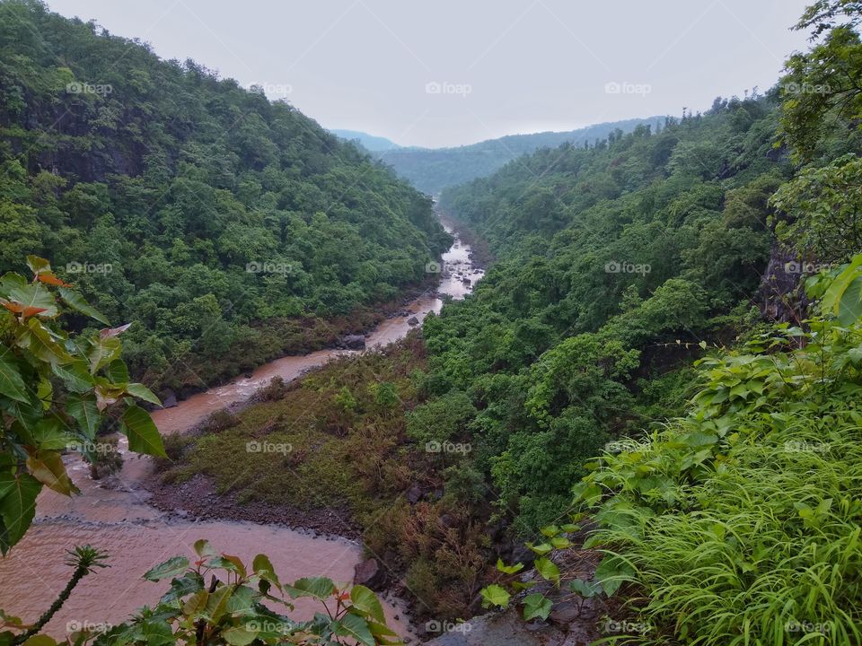 River passing through the hills in the forest.