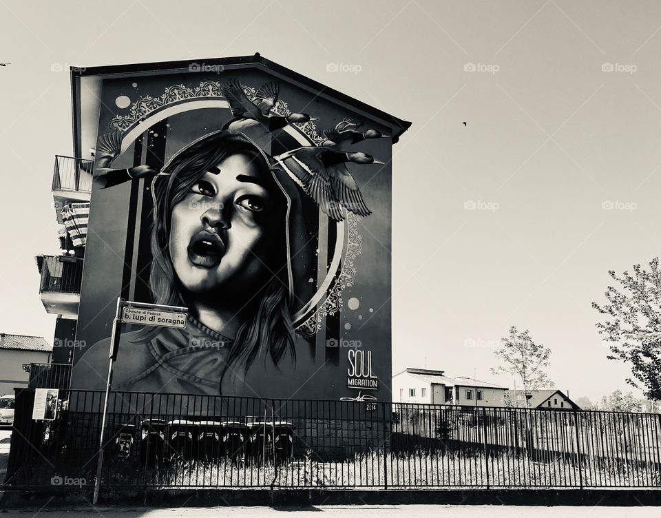 Graffiti on the road