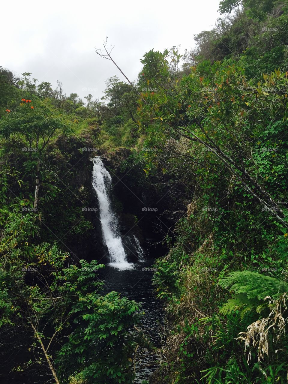 Waterfall on the road to Hana