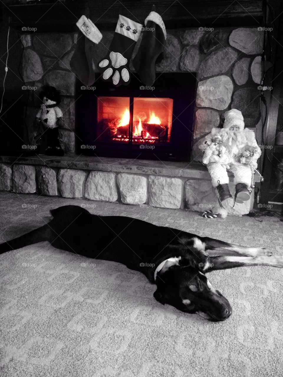 Cozy by the fire