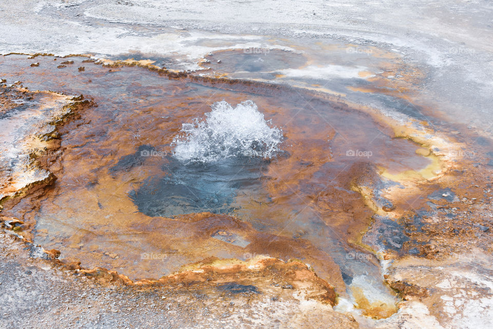 small geyser in Wyoming