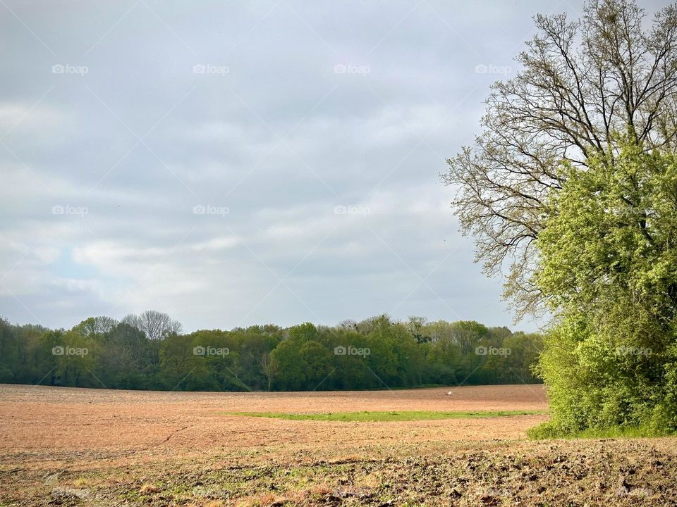 Walk , France April 2023 . 