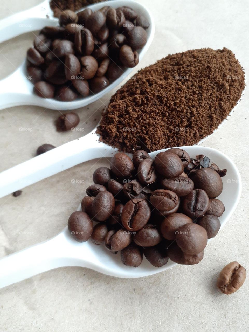 Various states of coffee beans