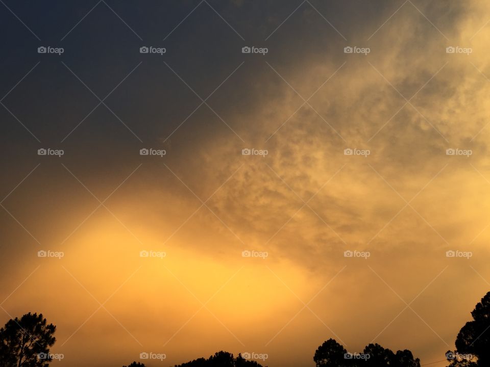 Clouds in the golden hour. Clouds in the sweet light of the golden hour.