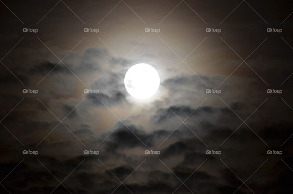 Full Moon on a bed of clouds.