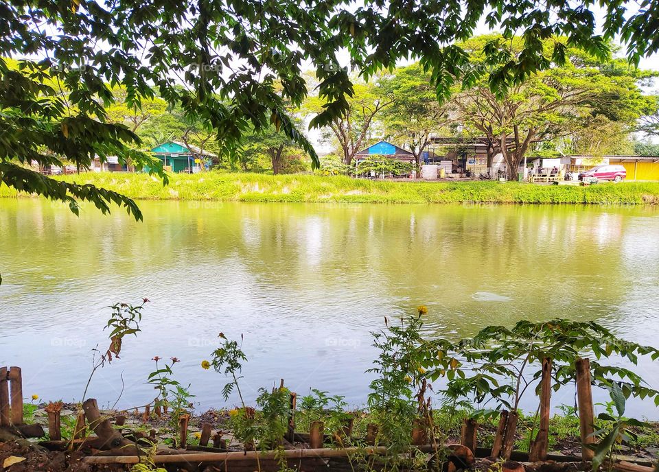 Beautiful calm river view with trees around and people's houses