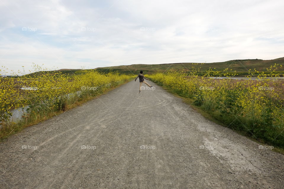 Leading lines of wildflowers seem to converge.