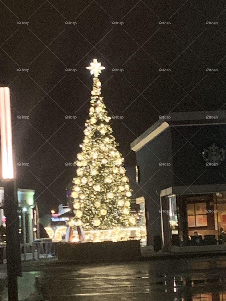 Christmas Tree on South Shore of Montreal, Quebec, Canada 🍁