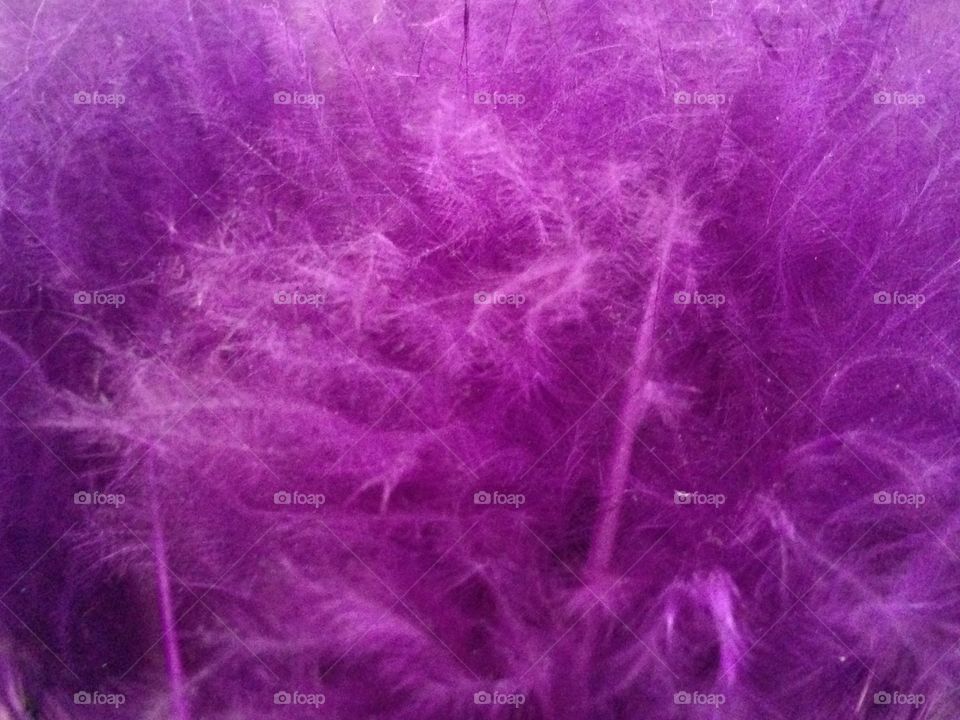 Full frame of fluffy feathers