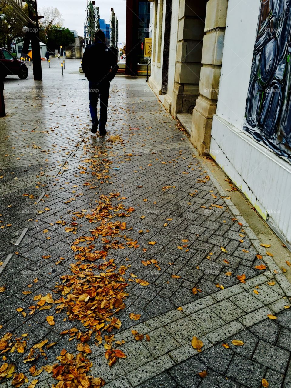 Fall leaves in the urban city