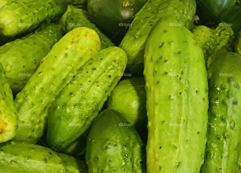 Baby cucumbers 