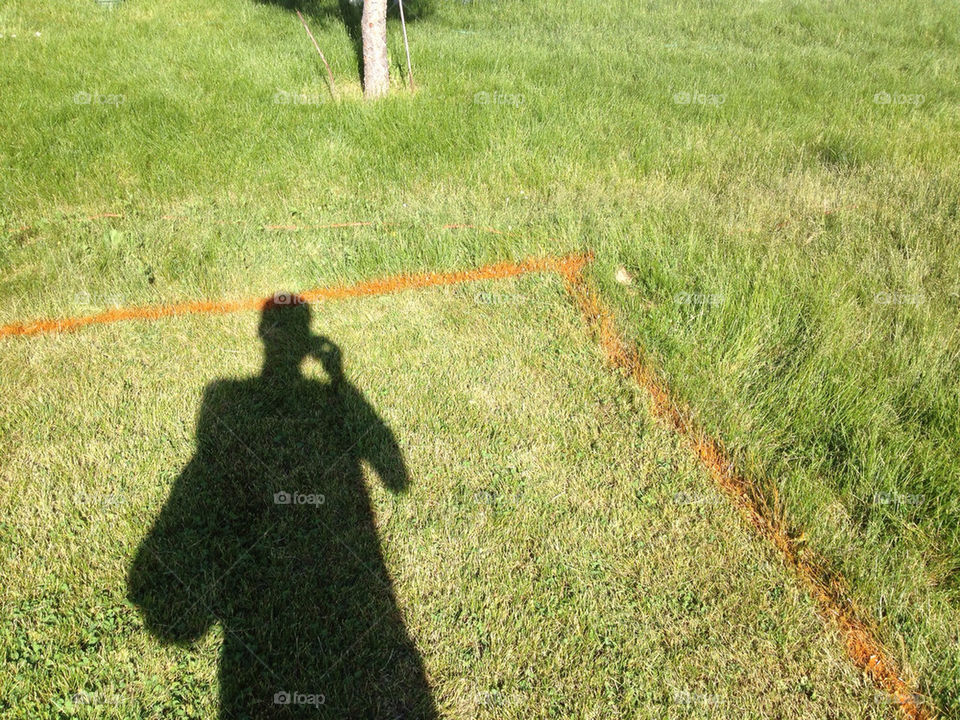 grass shadow yard by cointilt