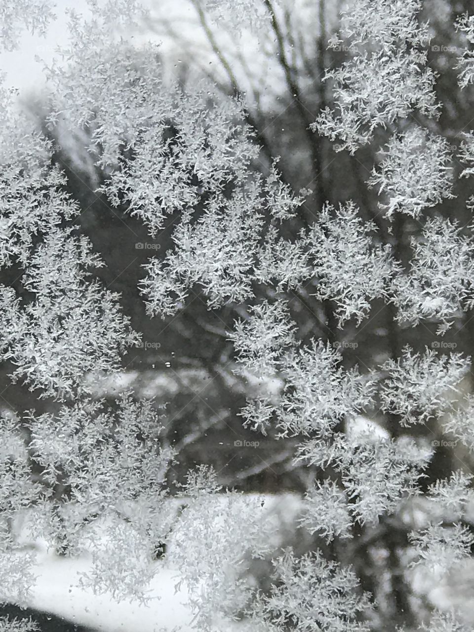 Frosted Window