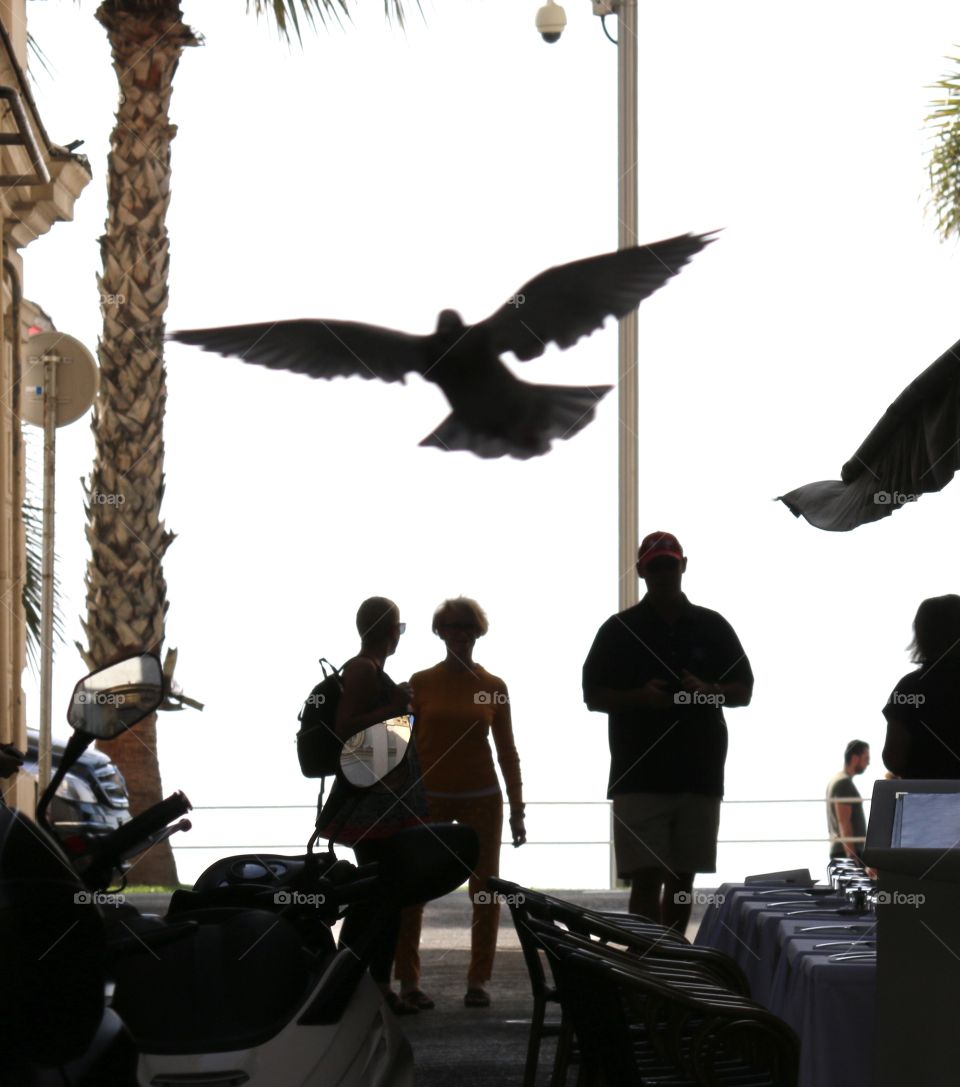 Birds and people in Nice, France 