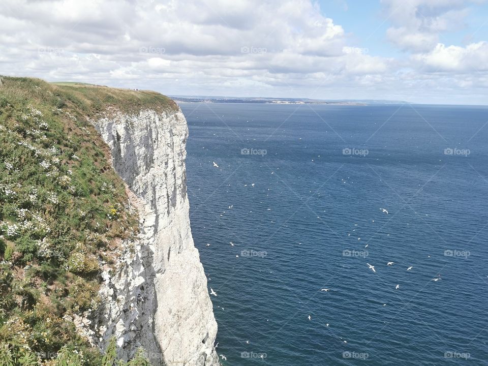 White Cliffs at Flamborough Head