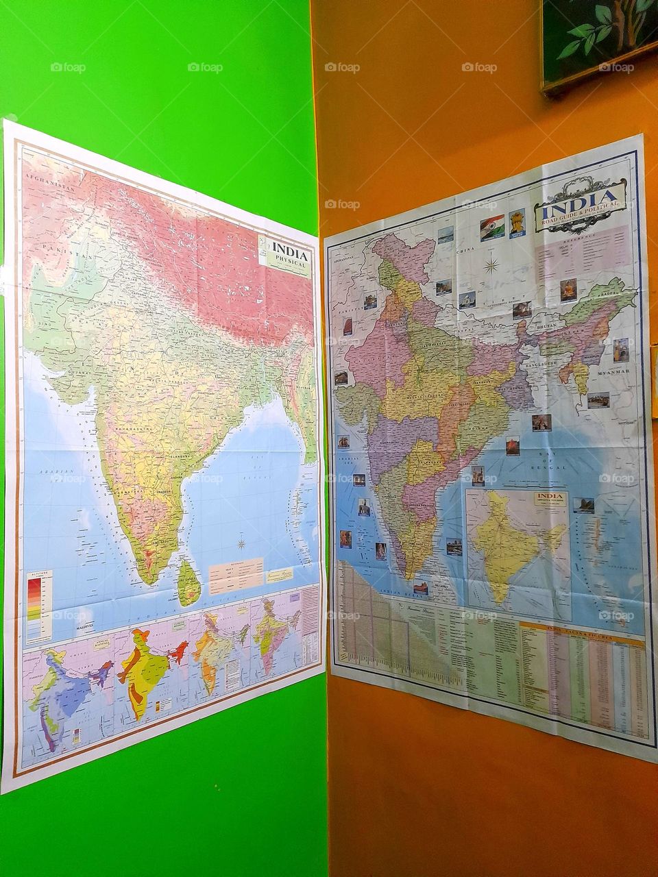 Complementary colors collide with vibrant energy, amplifying each other’s brilliance.