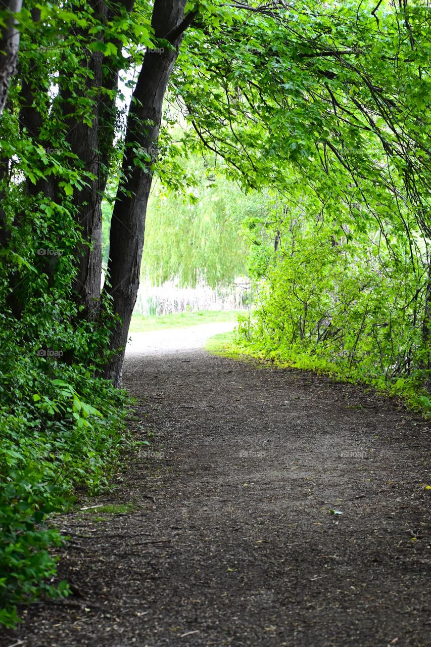 A dirt path through a city park is surrounded by greenery