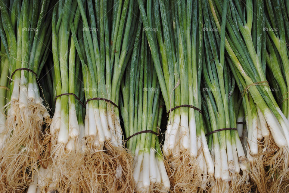 spring fresh pile onion by mayakerem