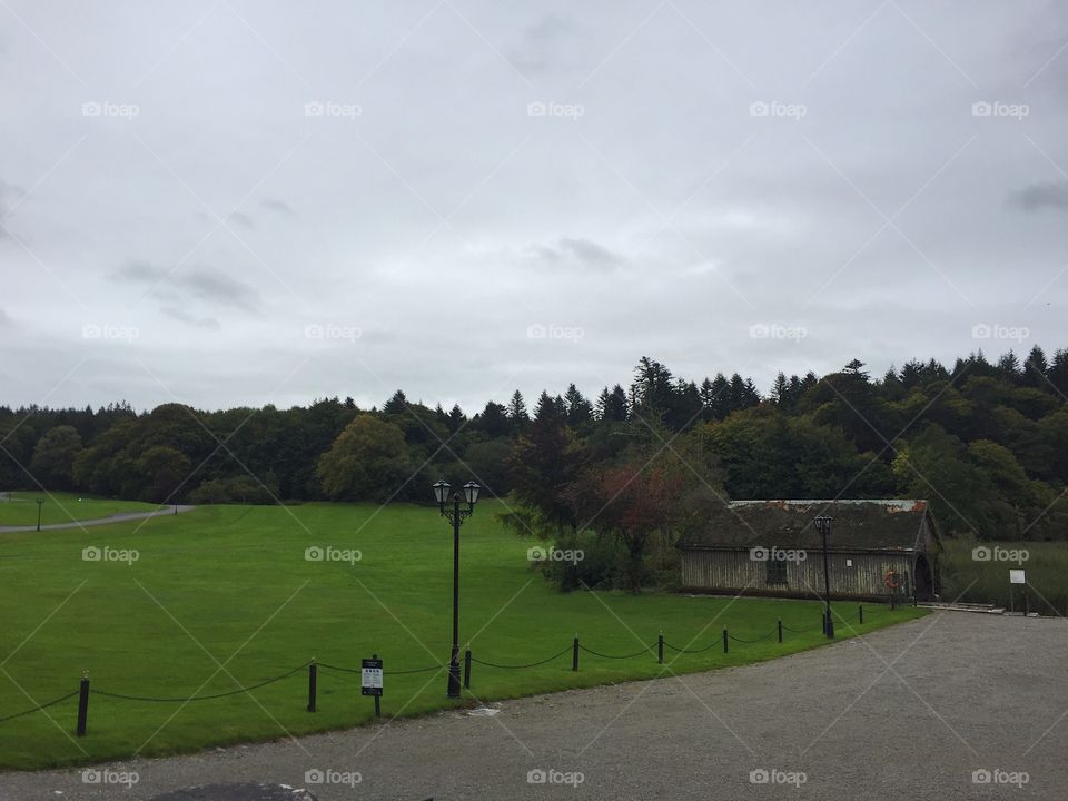 Landscape, No Person, Tree, Grass, Golf