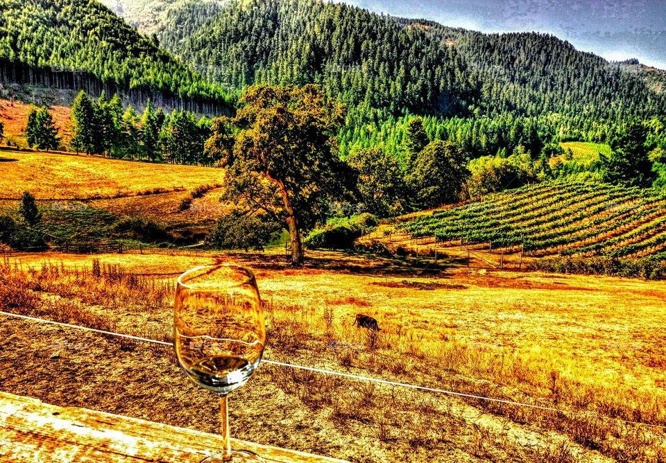 Spire Mountain Winery