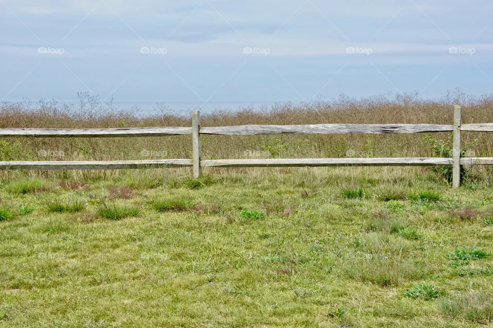 Fence 