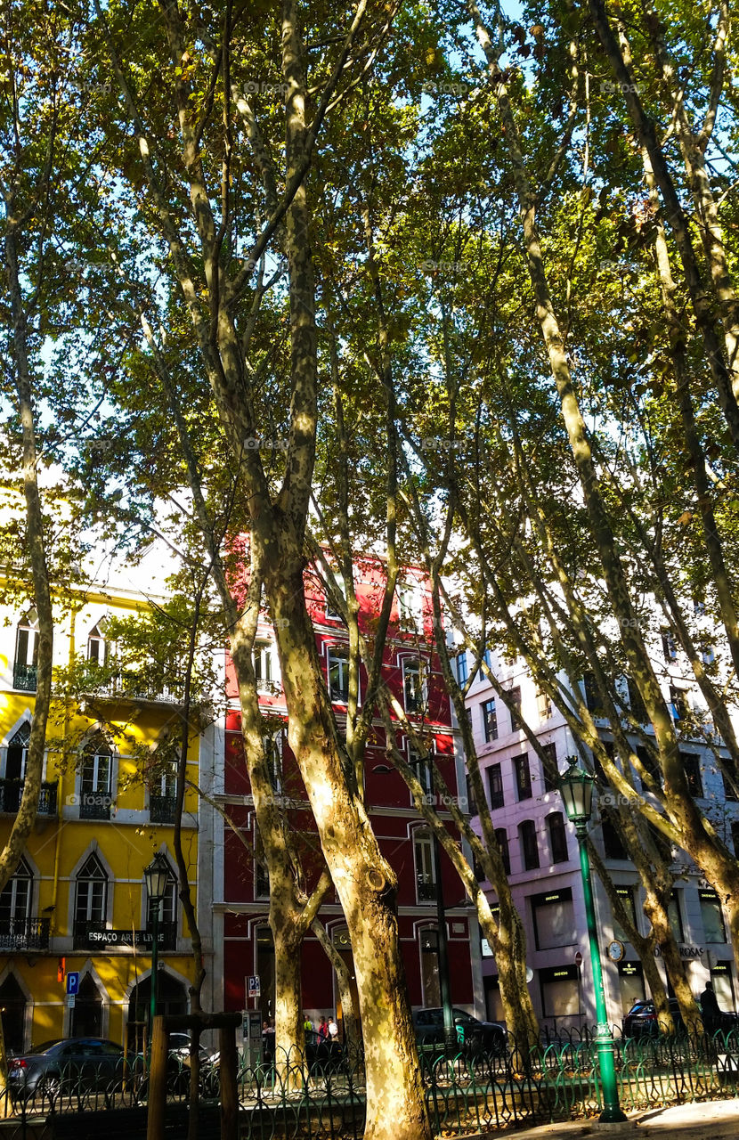 Avenida da Liberdade. Colorful buildings at Avenida da Liberdade