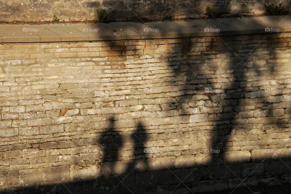 Silhouette of two person and tree on old wall