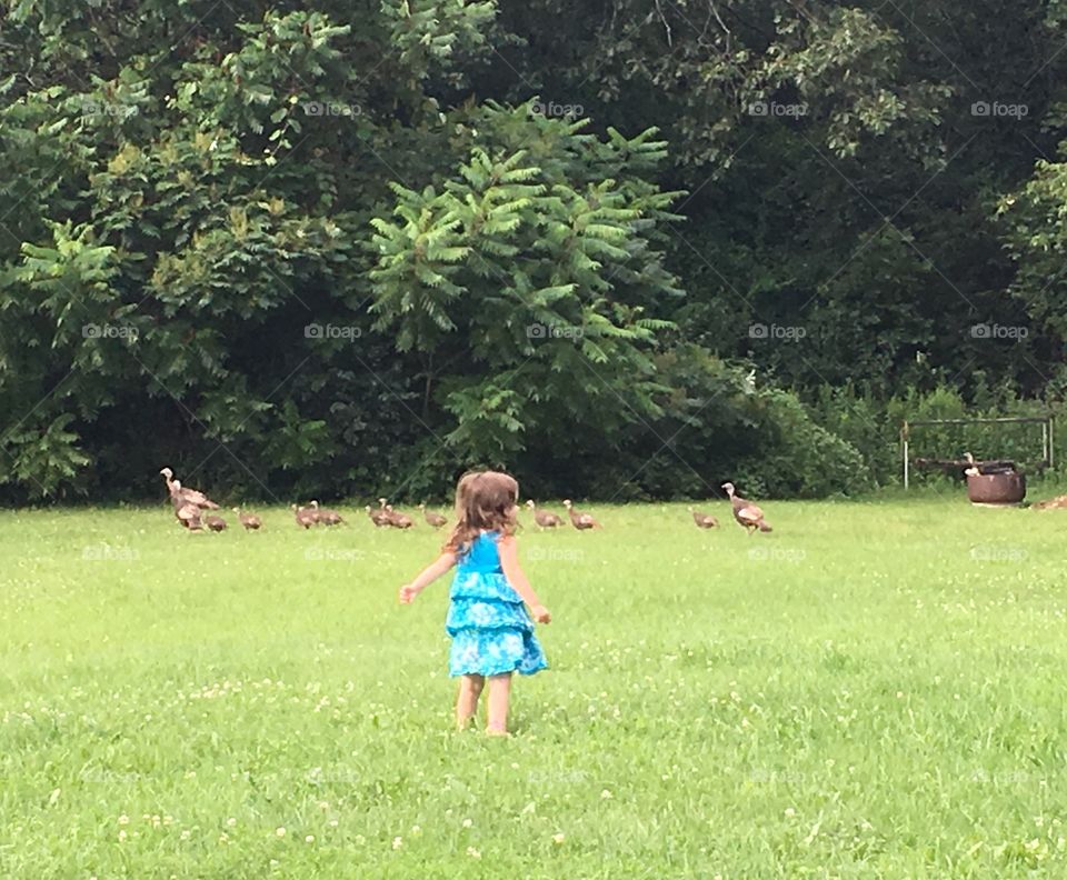 “Hey Wild Turkeys, where are you going? You can stay in our yard”, she says. My Tomboy