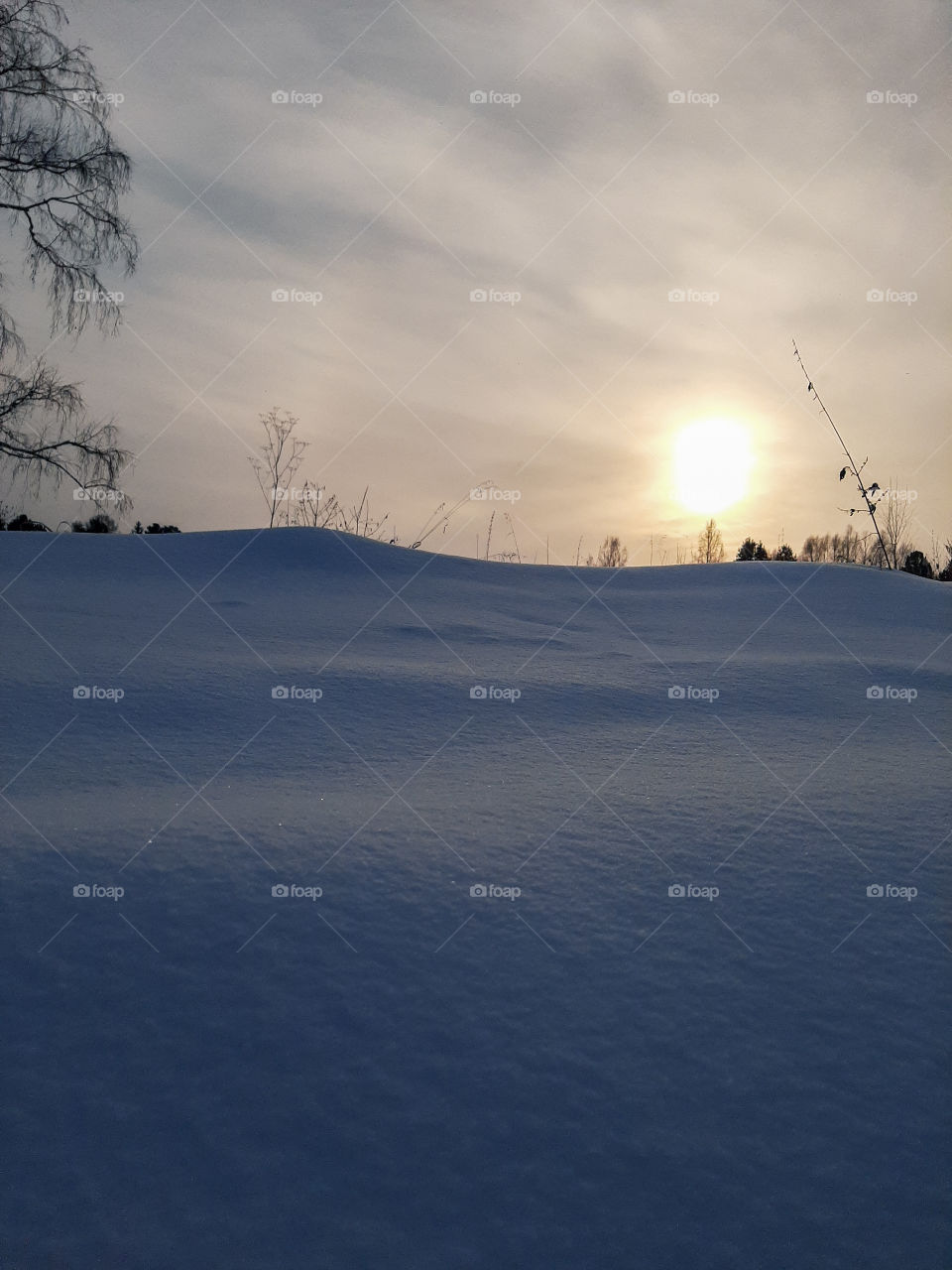 снег и солнце, зима в Сибири