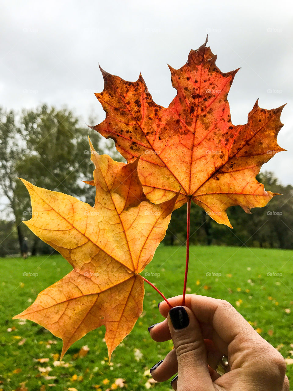 Fall in Warsaw 