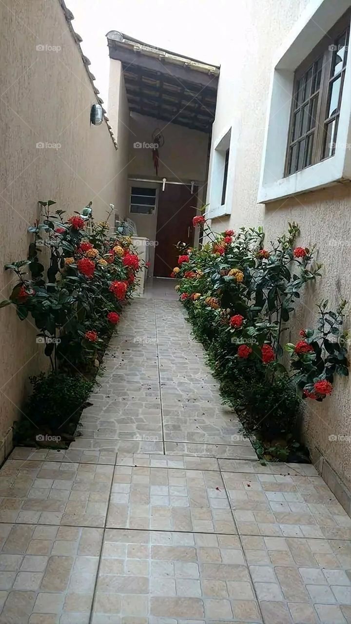 The image embodies a natural natural plate of the mountains of nature, where green agricultural stands are graded on the slopes as if they were lines of a poem, which fog harmoniously wrapped, and clouds hugged them in the mountain knife and the whis