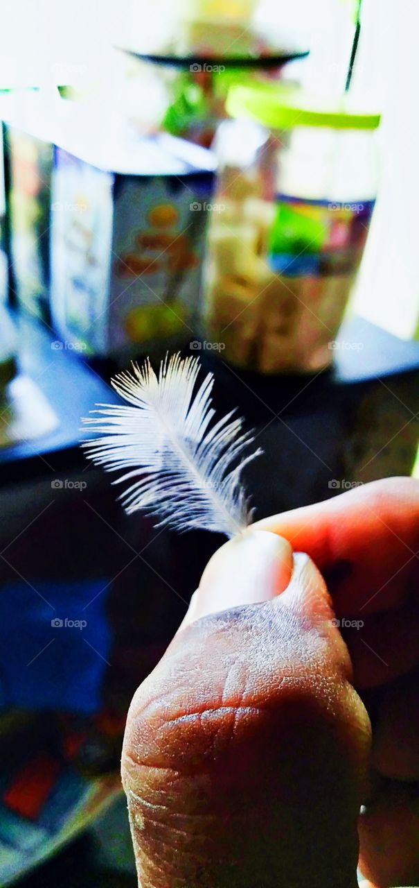 a beautiful white feathers of a bird in the hand