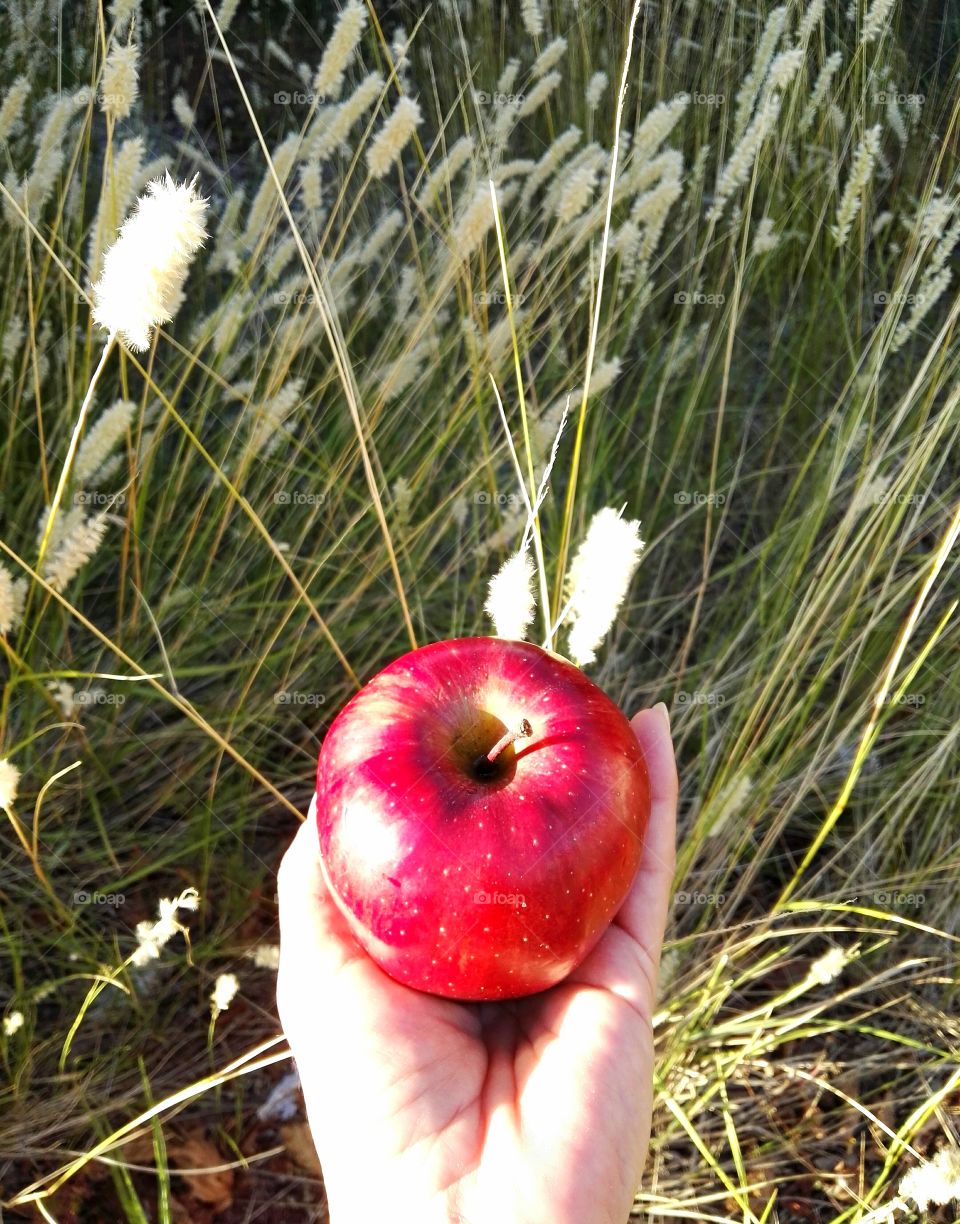 apple