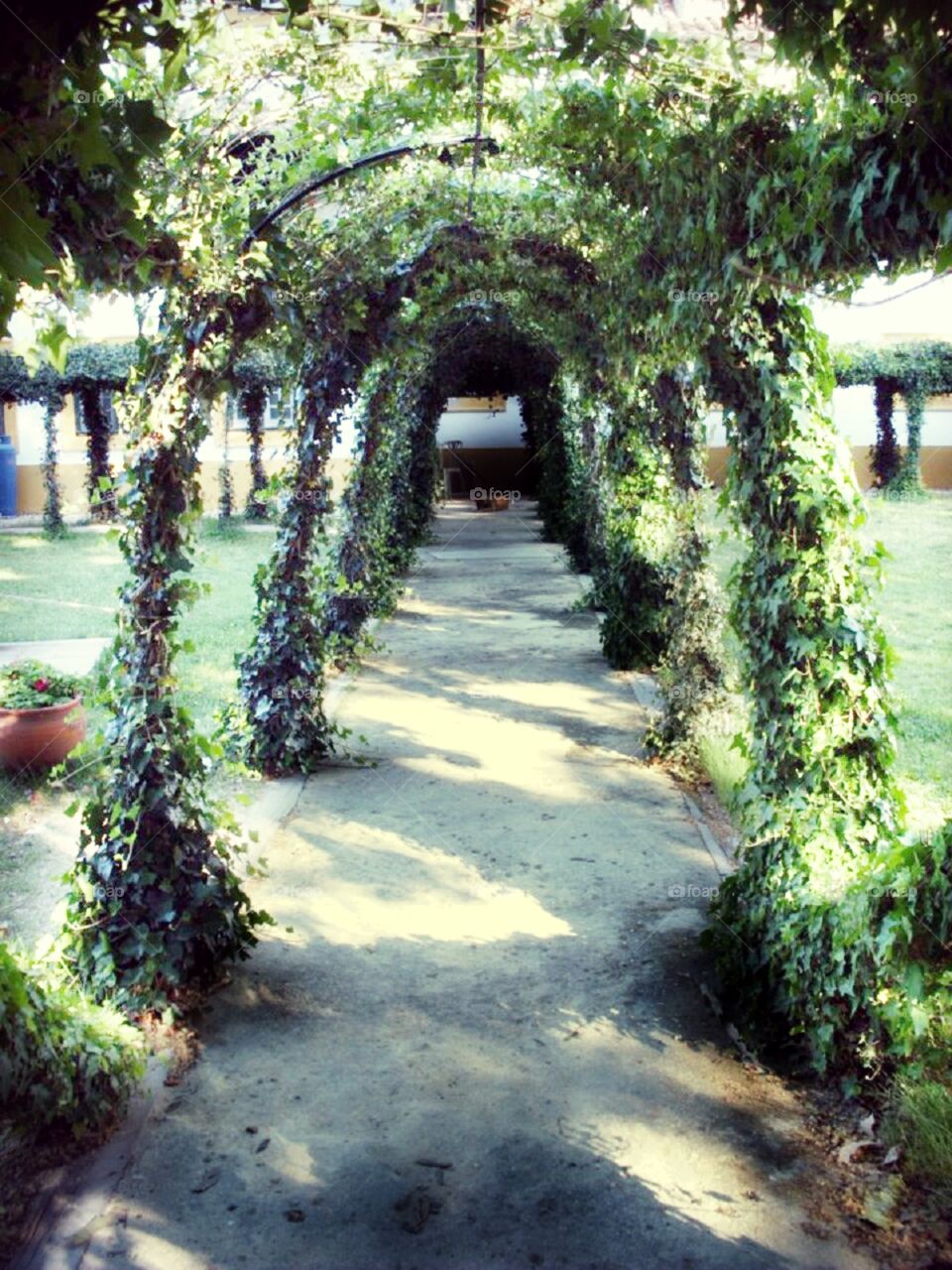 green archway in a garden, Portugal