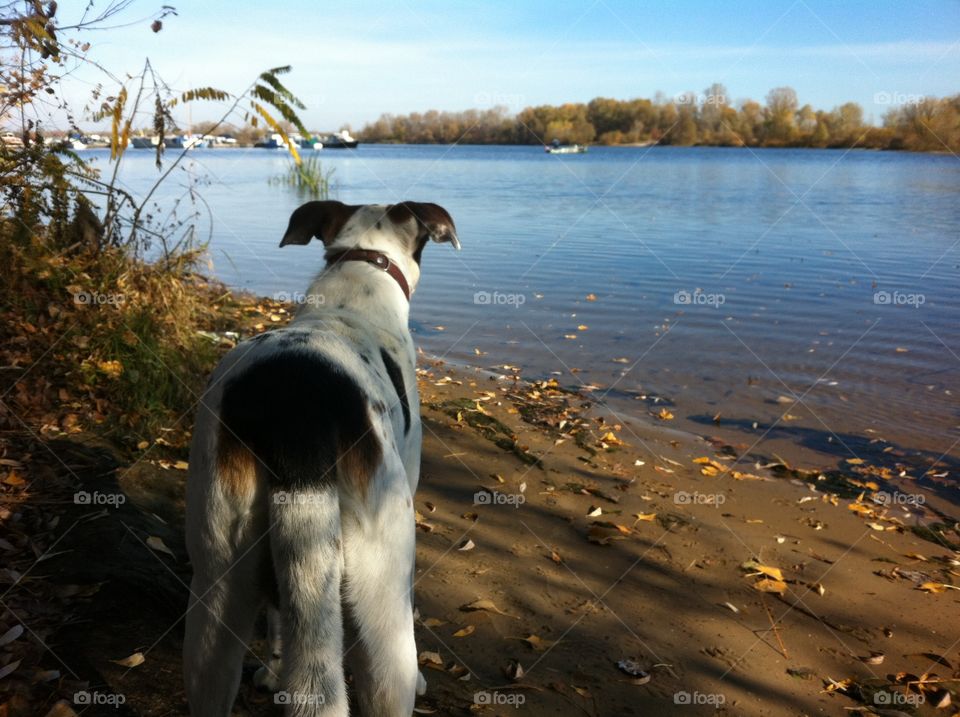 No Person, Water, Outdoors, Nature, Lake