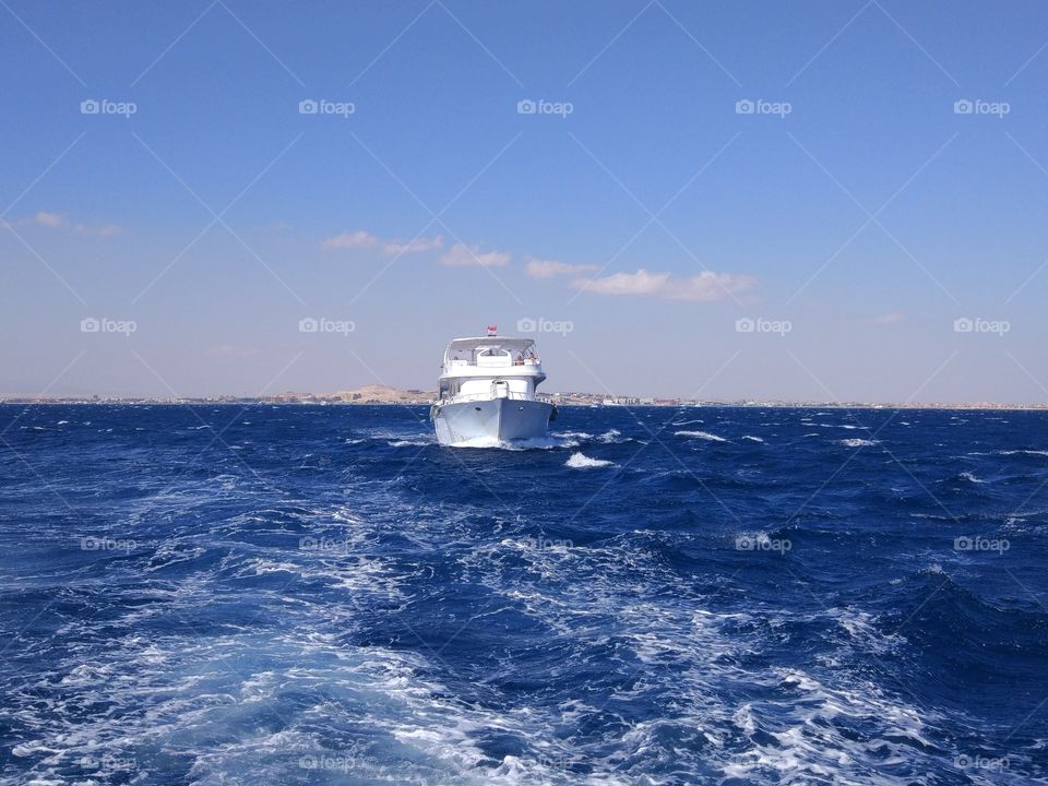 In the sea. Egypt. Hurghada.