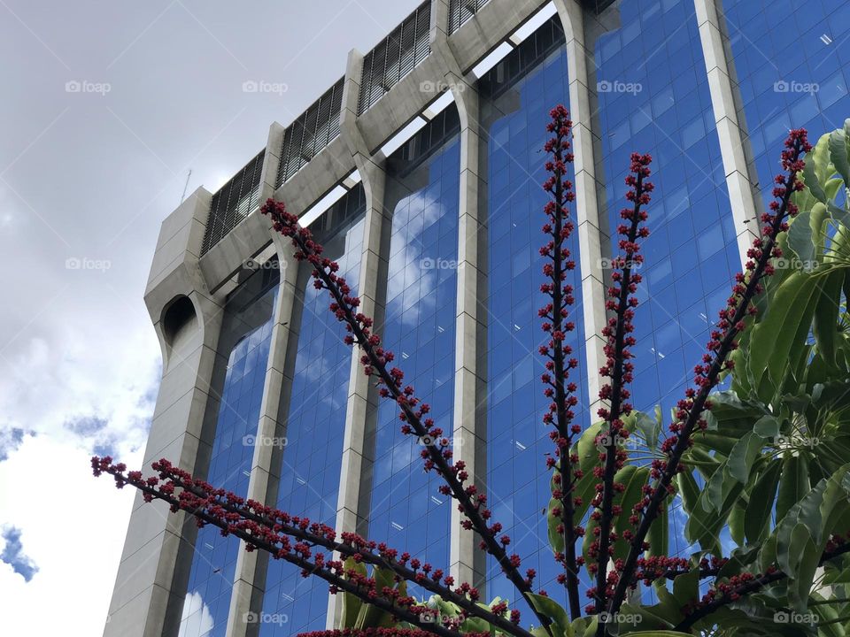 View of IBM building in São Paulo, “23 de Maio” Avenue.