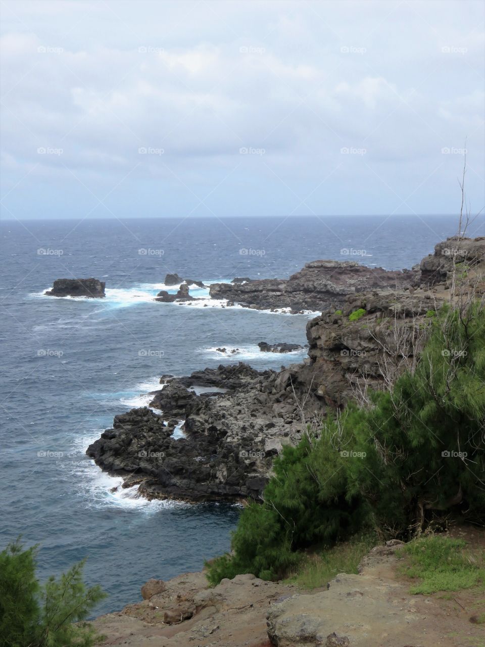 Hawaii coast